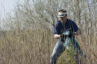 paljasaare_teeme2008 019